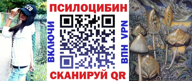 Псилоцибиновые грибы Psilocybe  купить наркотики цена  Менделеевск 