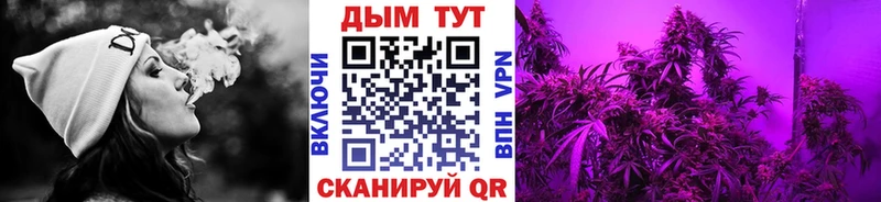 Бошки Шишки семена  Менделеевск 